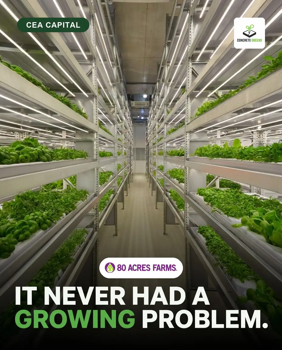 18,000 Stores and Still No Capital: What 80 Acres Farms Reveals About Farm Financing
