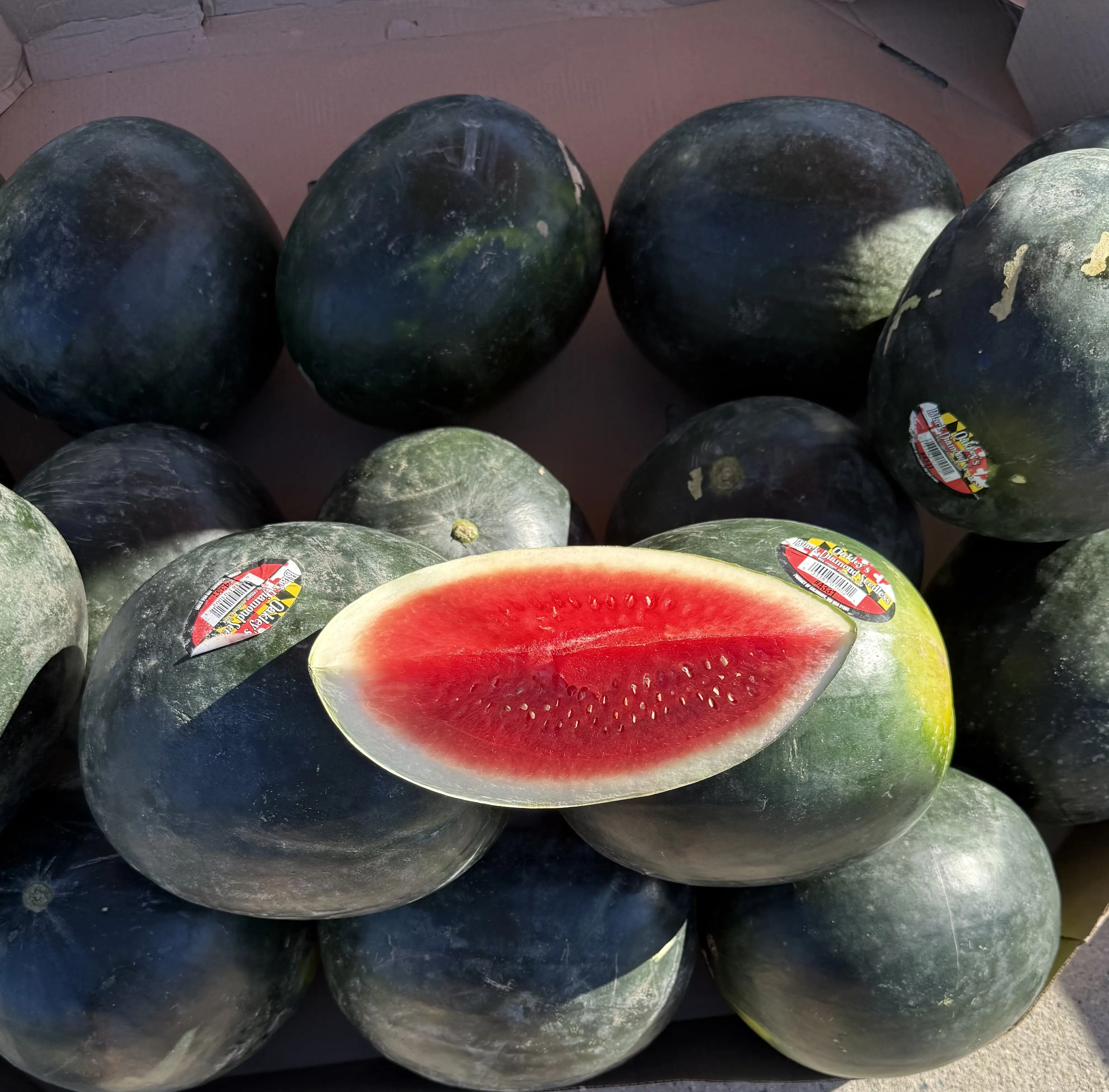 The Watermelon Man of 52nd and Spruce