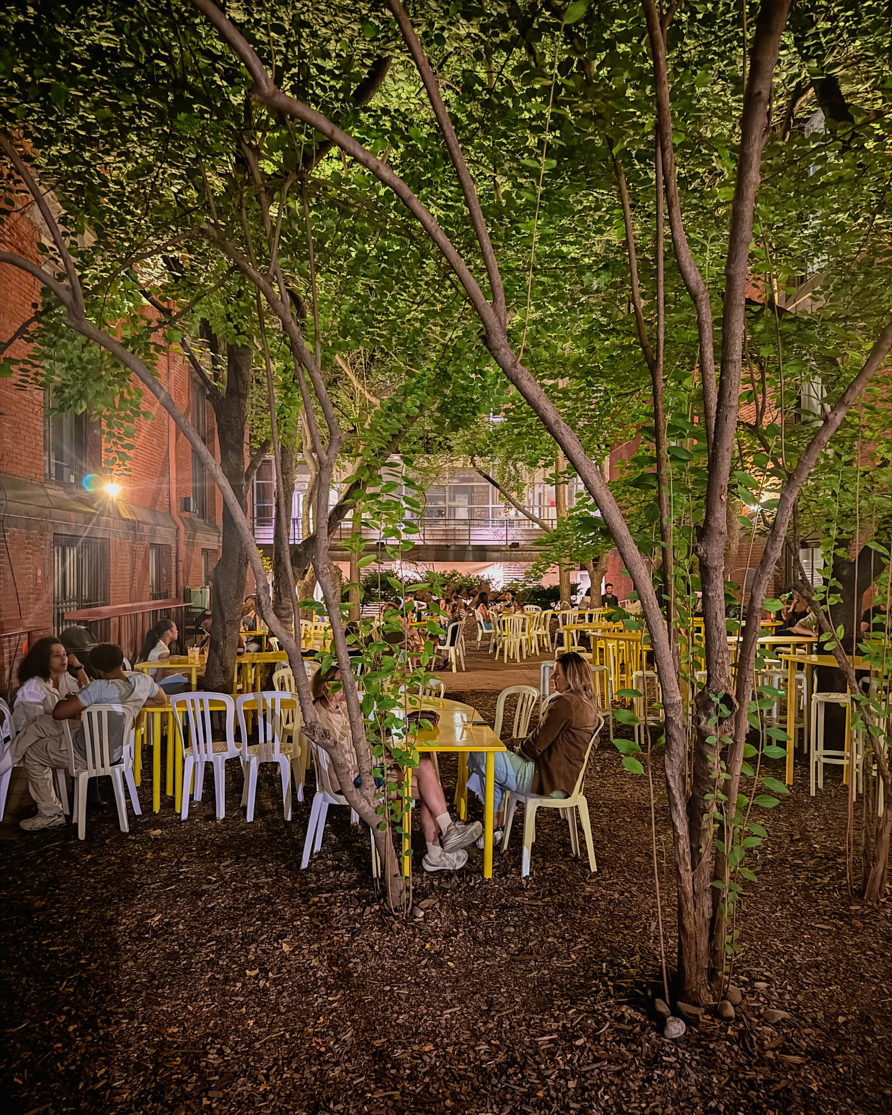 Inside Frankie’s Summer Club: Philly’s Secret Garden Escape
