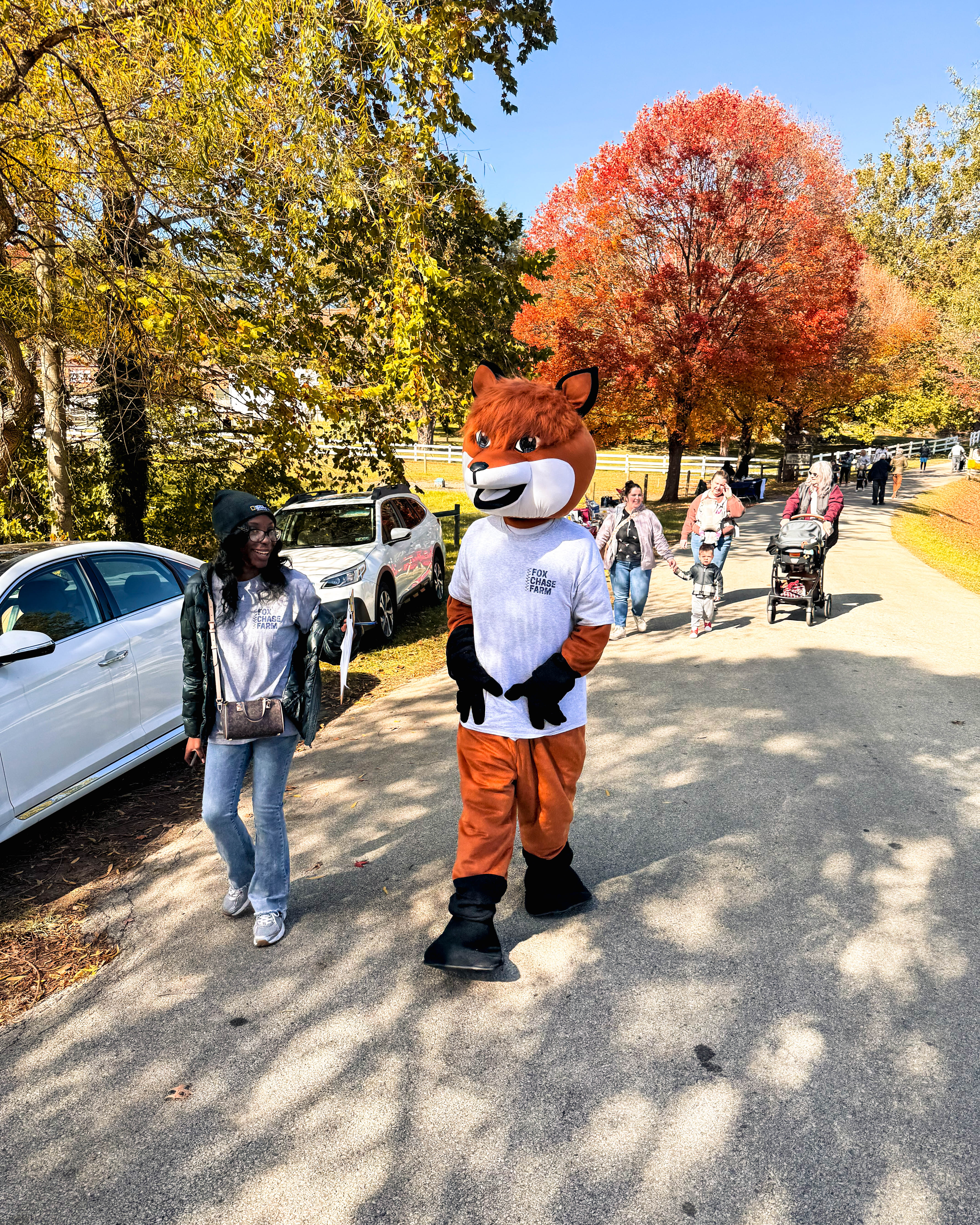 Bat Day at Fox Chase Farm: Where Curiosity Takes Flight