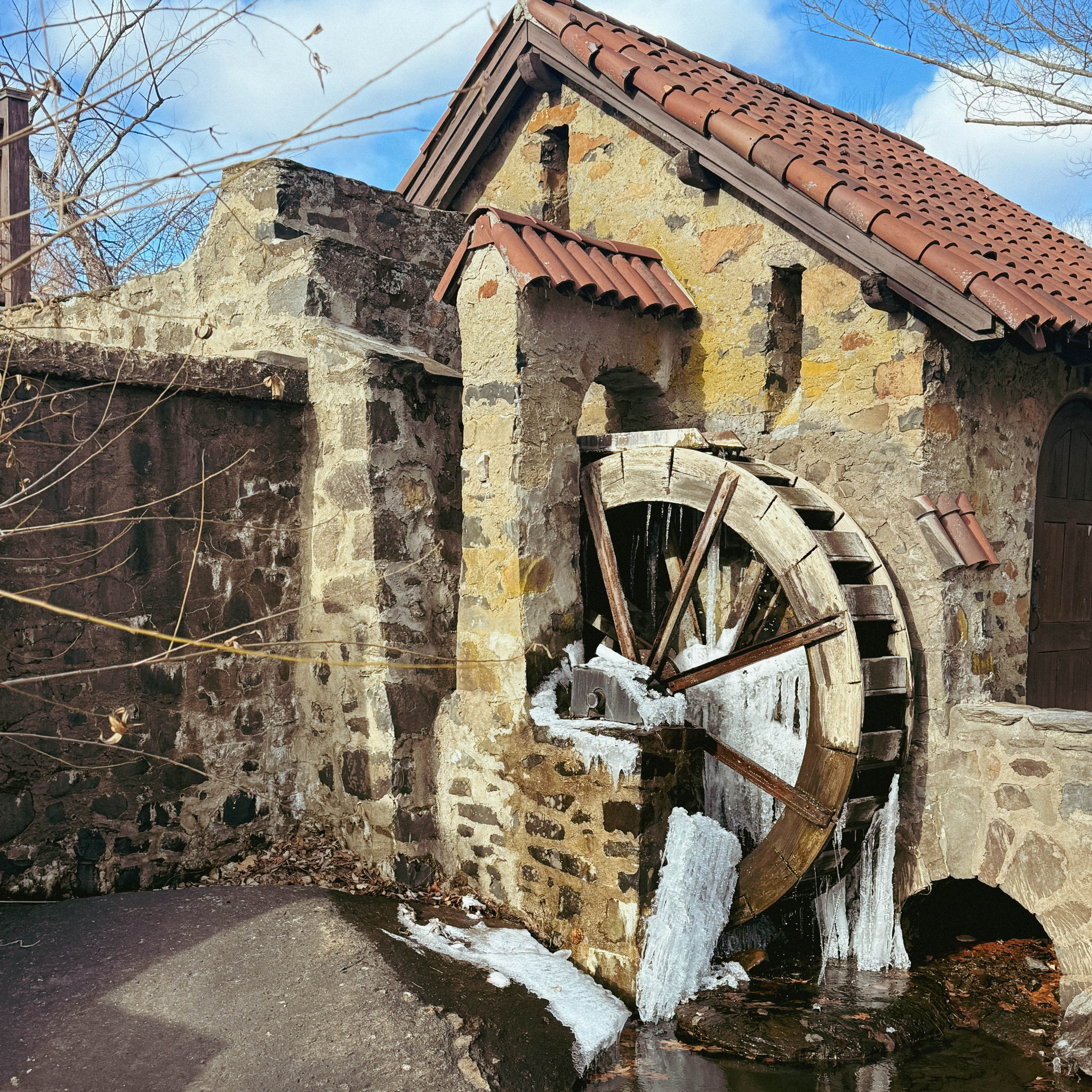 Harry Hayman's New Year's Day Journey: A Reflection on Memory, Music, and Meaningful Intentions for 2026